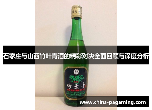 石家庄与山西竹叶青酒的精彩对决全面回顾与深度分析