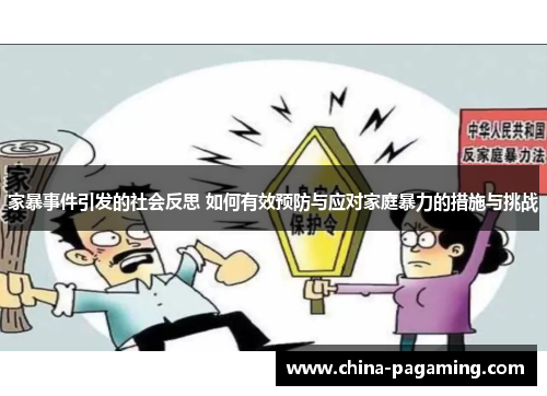 家暴事件引发的社会反思 如何有效预防与应对家庭暴力的措施与挑战