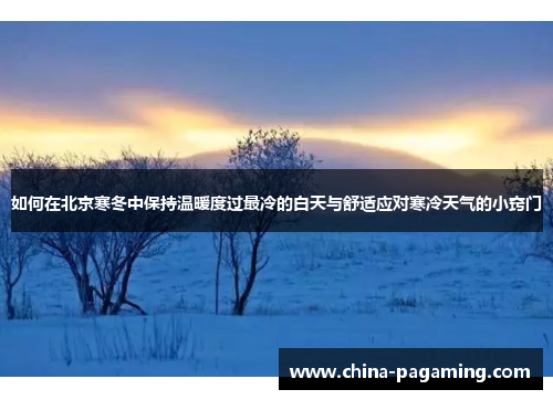 如何在北京寒冬中保持温暖度过最冷的白天与舒适应对寒冷天气的小窍门