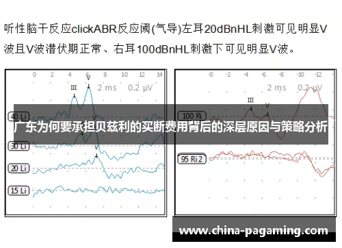 广东为何要承担贝兹利的买断费用背后的深层原因与策略分析