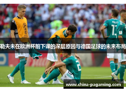勒夫未在欧洲杯前下课的深层原因与德国足球的未来布局