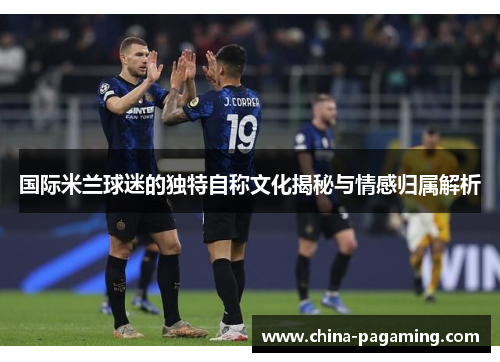 国际米兰球迷的独特自称文化揭秘与情感归属解析