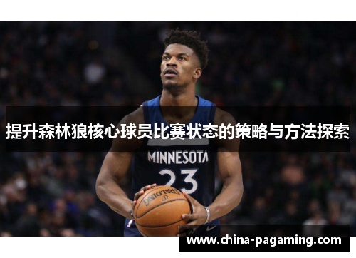 提升森林狼核心球员比赛状态的策略与方法探索