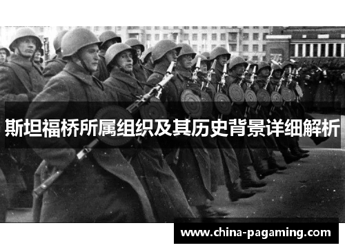 斯坦福桥所属组织及其历史背景详细解析