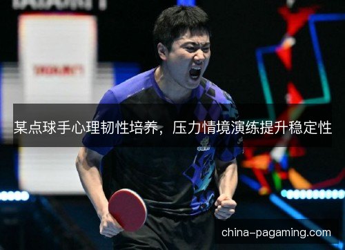 某点球手心理韧性培养，压力情境演练提升稳定性